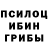 Псилоцибиновые грибы Psilocybe fuumanotate