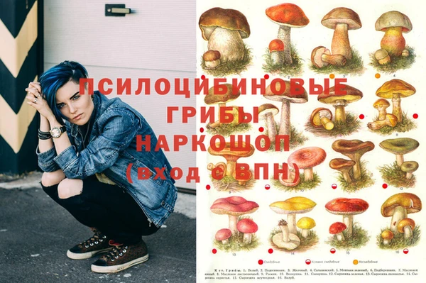 jwh Баксан