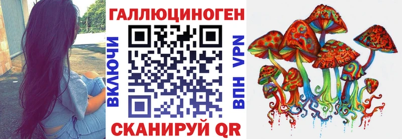 купить наркоту  Зима  Псилоцибиновые грибы Magic Shrooms 