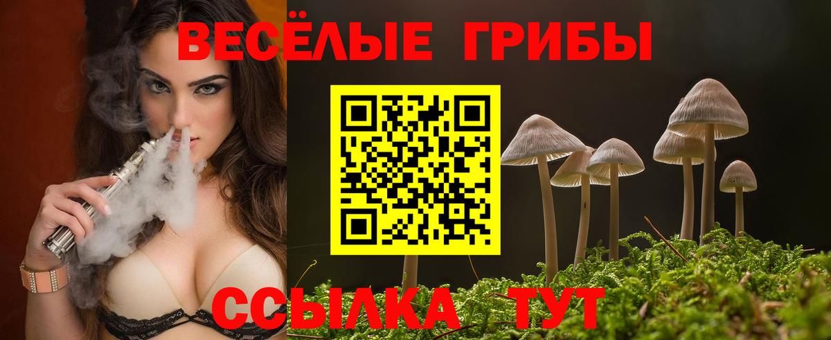 закладка  Галлюциногенные грибы Cubensis  Вход с VPN  Зима  Псилоцибиновые грибы ЛСД 